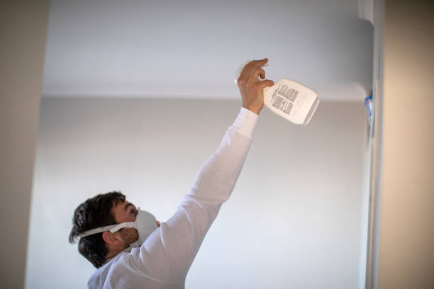 Best Mold Removal and Inspection  in Mendon, UT