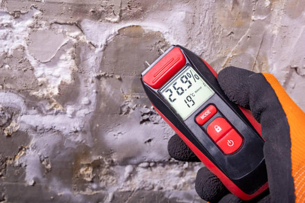 Best Water Damage Restoration  in Mendon, UT
