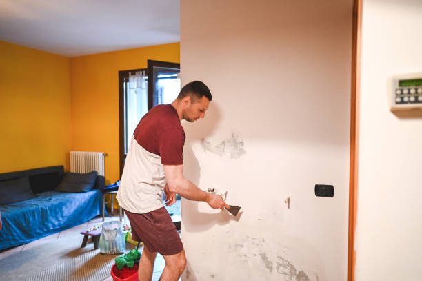 Best Home Mold Removal  in Mendon, UT